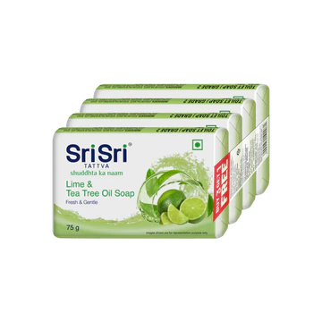 Lime & Tea Tree Oil
