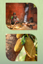Chulha