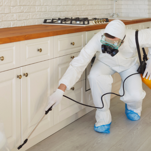 Alfa Termite Service