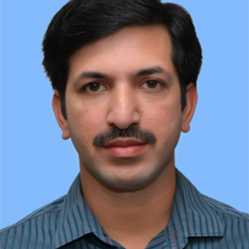 Dr (Prof) Sumit Rana